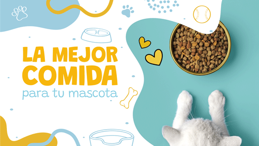 comida