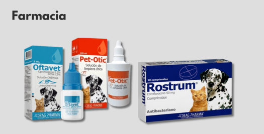 farmacia